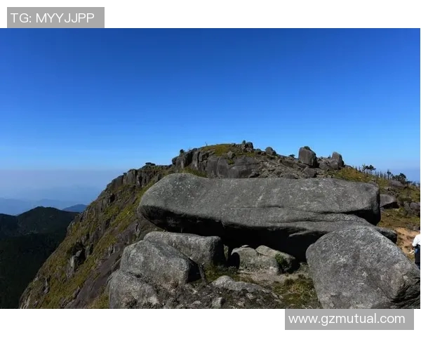 一步一步攀登高峰陈若琳的奥运冠军心态与奋斗精神的深度解析 一步一步攀登高峰陈若琳的奥运冠军心态与奋斗精神的深度解析